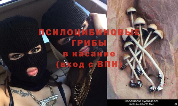 тгк Абдулино
