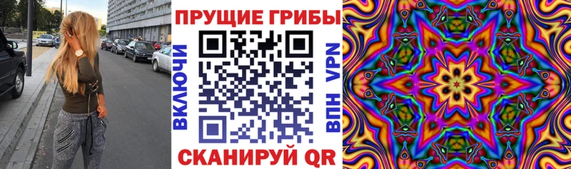 Галлюциногенные грибы Magic Shrooms Богданович