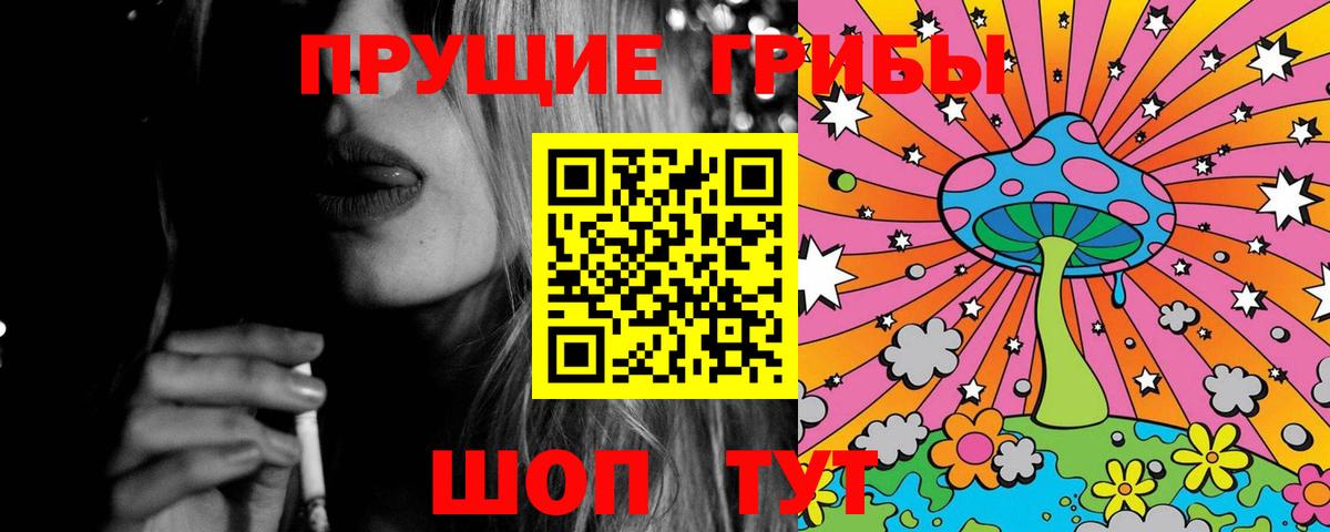 Галлюциногенные грибы Psilocybe  Галлюциногенные грибы Psilocybe  закладки  Богданович  Вход с VPN 